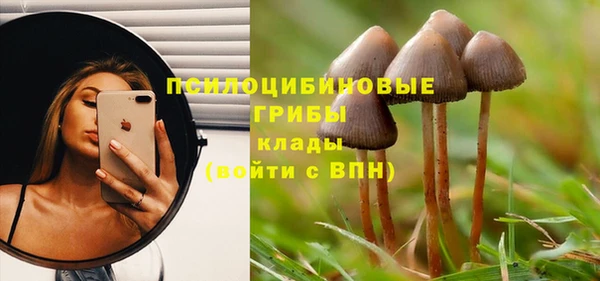 стафф Балахна